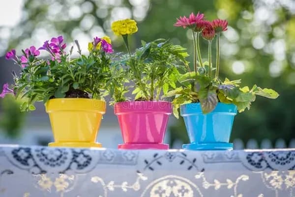 تصویر 5 از قیمت گلدان پلاستیکی اپارتمانی + خرید باور نکردنی